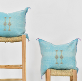 Nude Pink Cactus Berber cushion Pillow