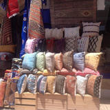 Red Cactus Berber cushion Pillow