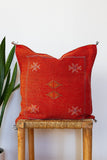 Brown Cactus Berber cushion Pillow